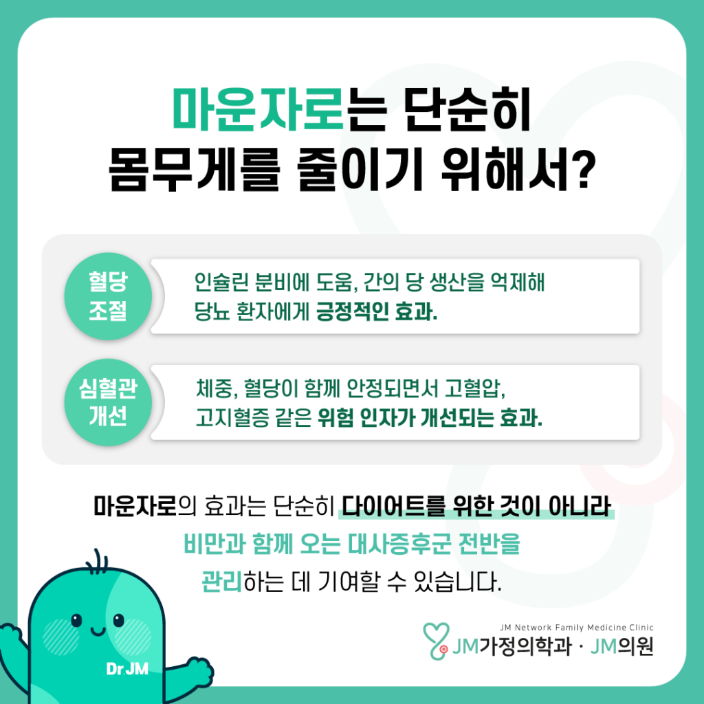 마운자로 투약 기간 