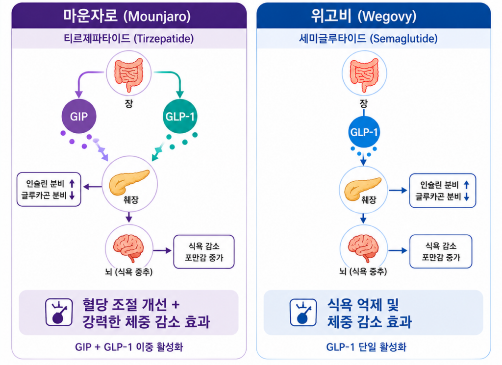 glp 1 kidney protection The privileged position of glp-1 in diabetic nephropathy