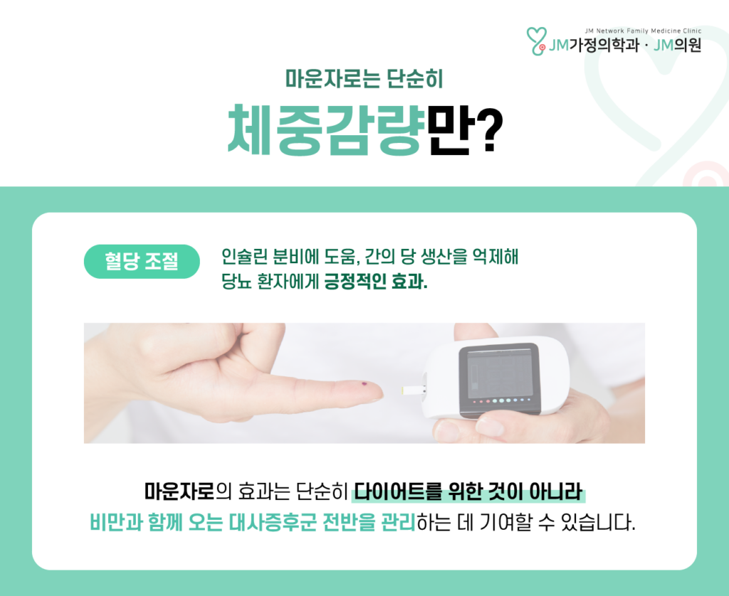 마운자로 작용기전
