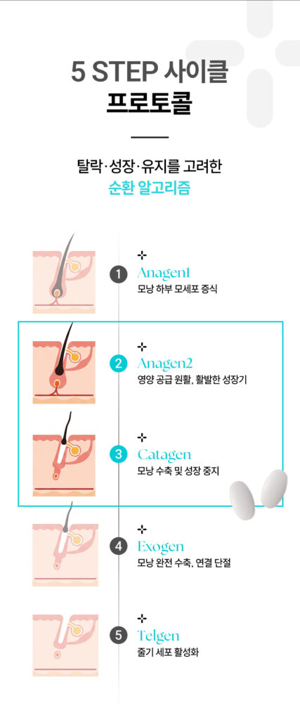 마운자로부작용 탈모, 왜 생길까? 단백질·영양 관리 핵심 정리