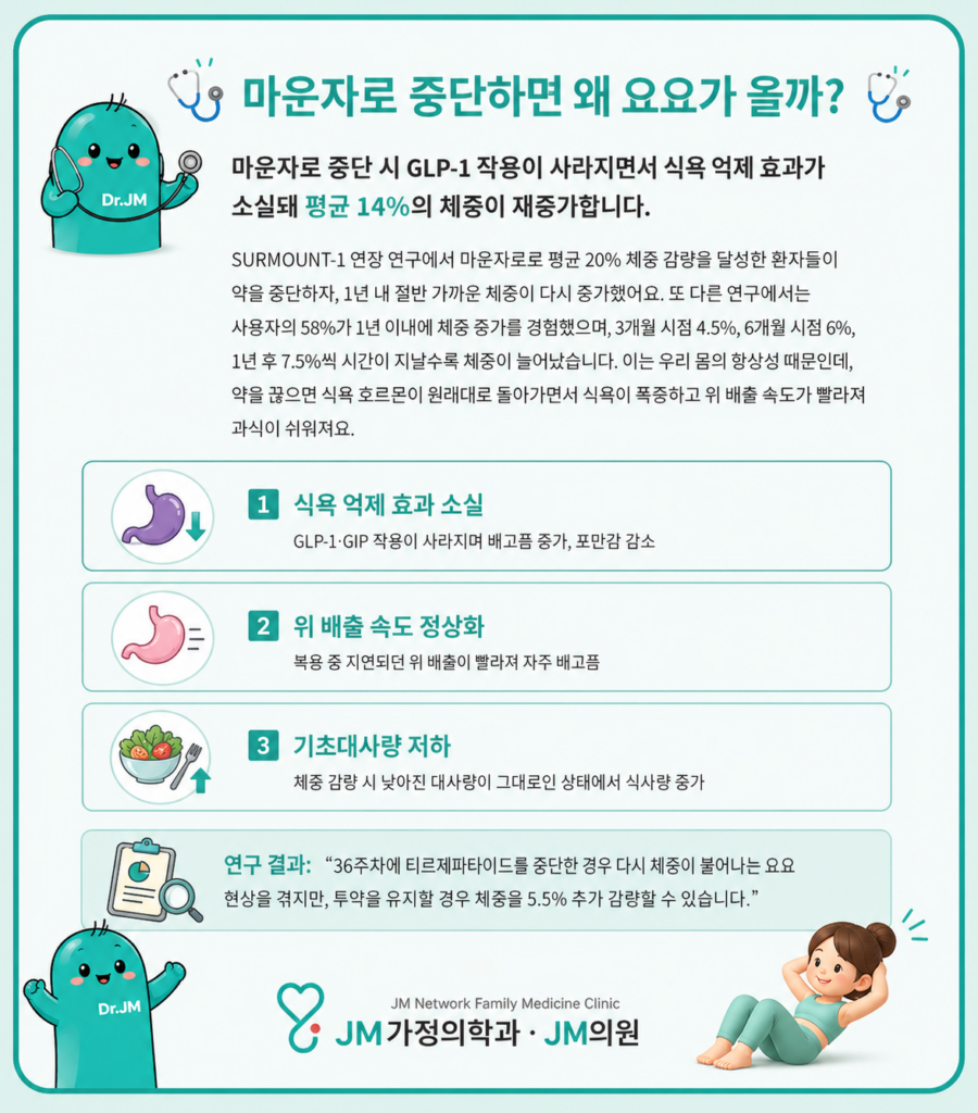 마운자로 요요 