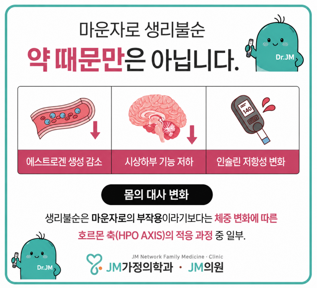 마운자로 생리불순 호르몬