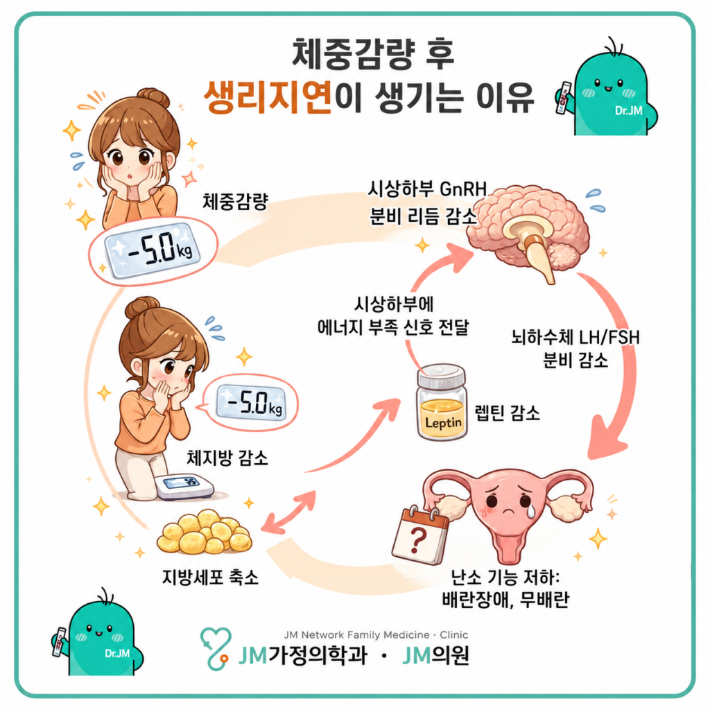 마운자로 생리지연

