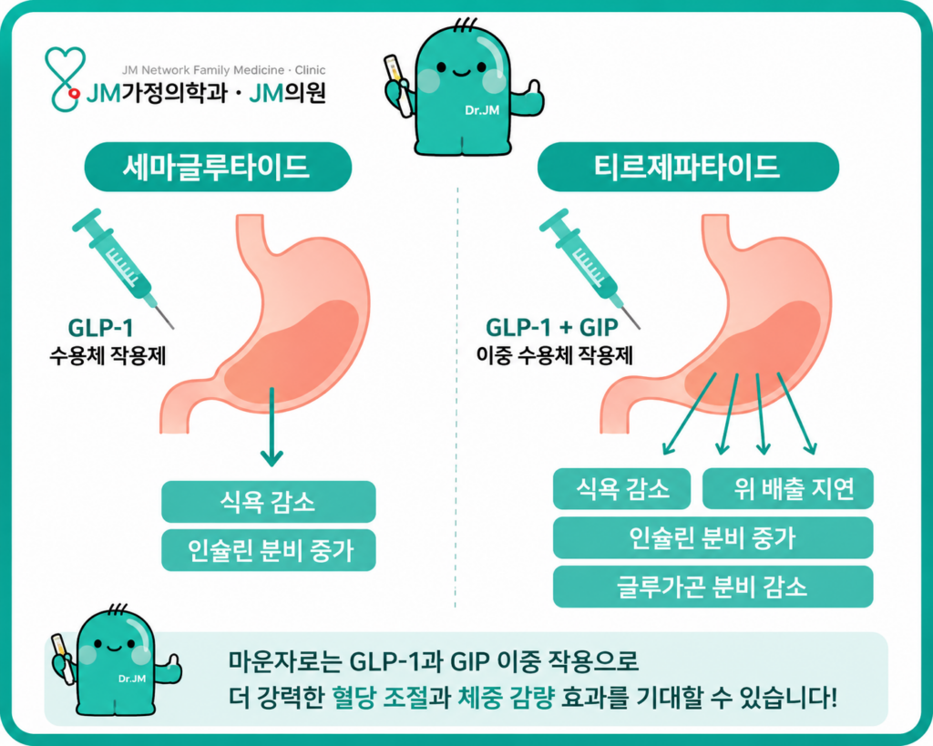 마운자로효과
