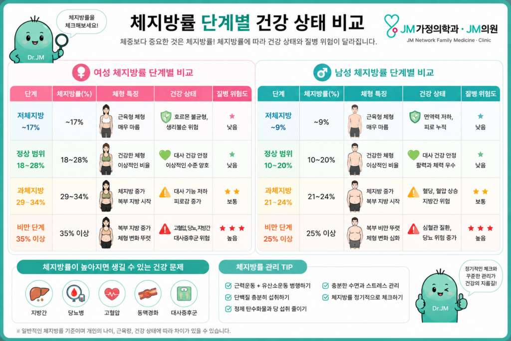 다이어트체지방률