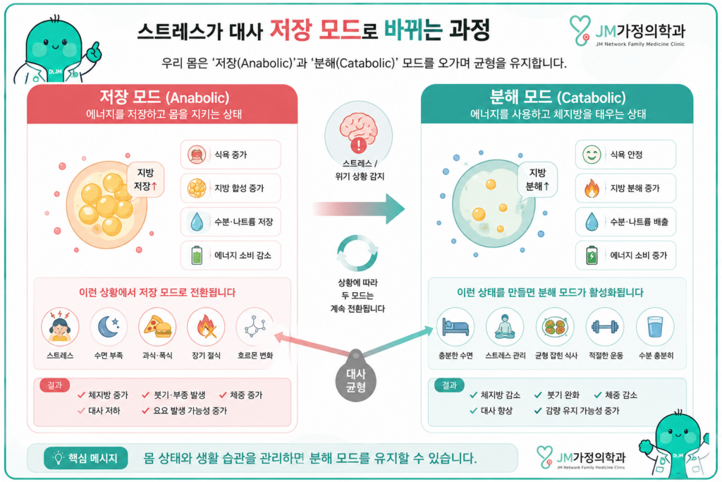 다이어트스트레스영향