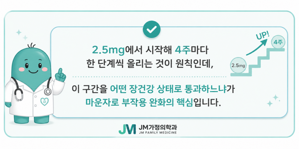마운자로루틴
