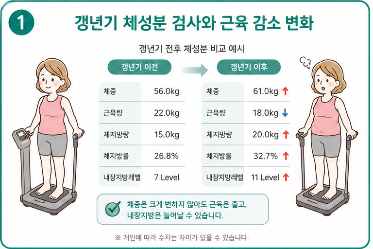 갱년기 체성분 검사와 근육 감소 변화