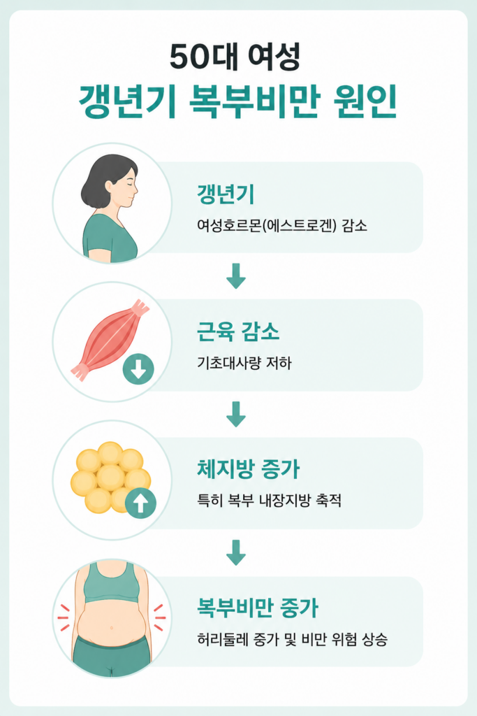 갱년기 복부비만 원인