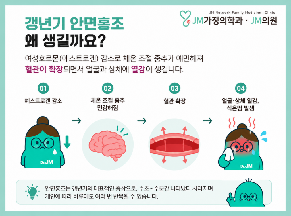 갱년기 안면홍조 증상 설명 이미지