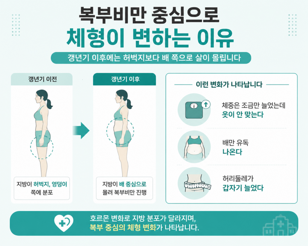 갱년기 복부비만