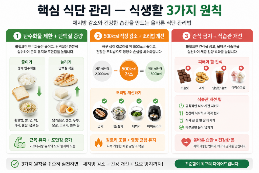 다이어트식단