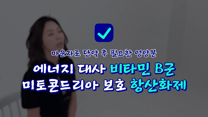 마운자로요요