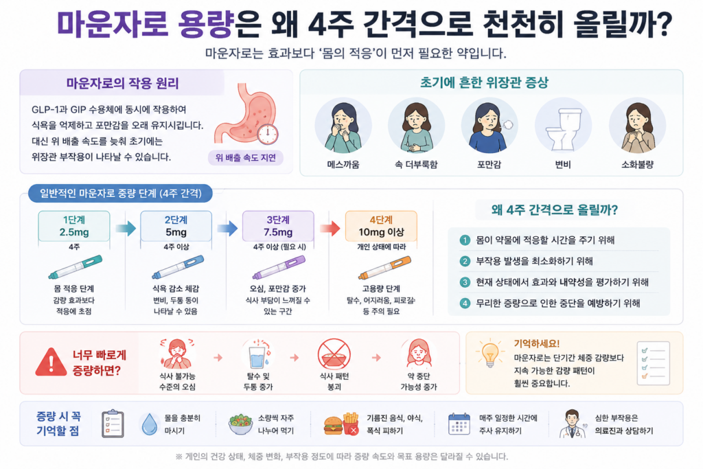 마운자로부작용용량