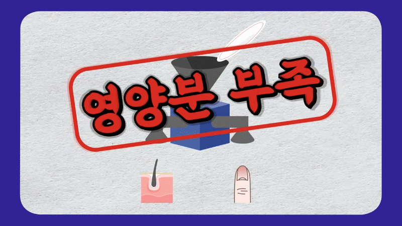 마운자로부작용 탈모, 왜 생길까? 단백질·영양 관리 핵심 정리