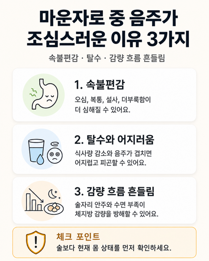 마운자로 중 음주가 조심스러운 이유 3가지