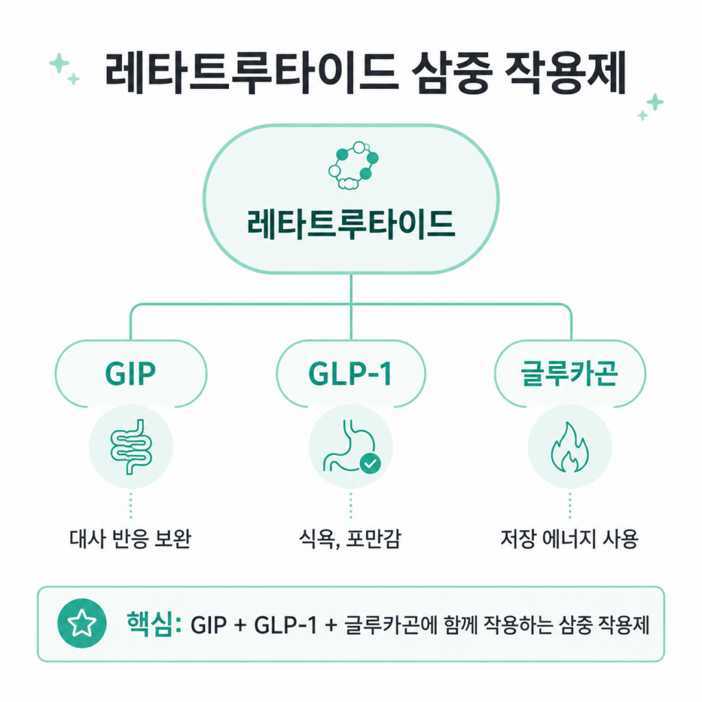 레타트루타이드 삼중 작용제 GIP GLP-1 글루카곤