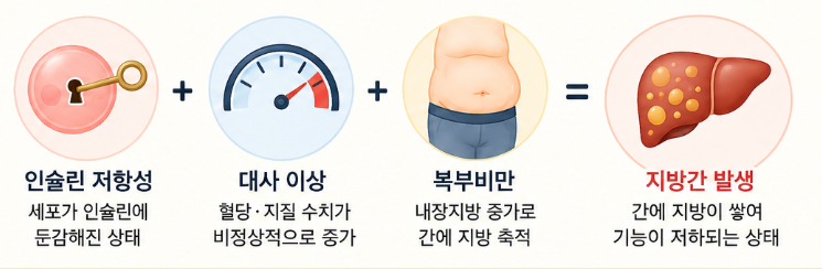 혈당 스파이크 지방간 발생 과정