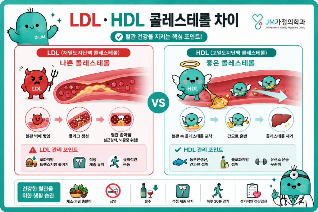 콜레스테롤 차이
