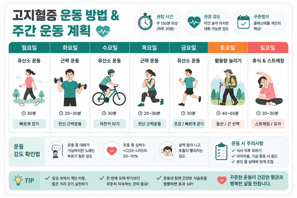 고지혈증 운동