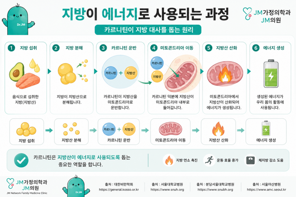 지방
