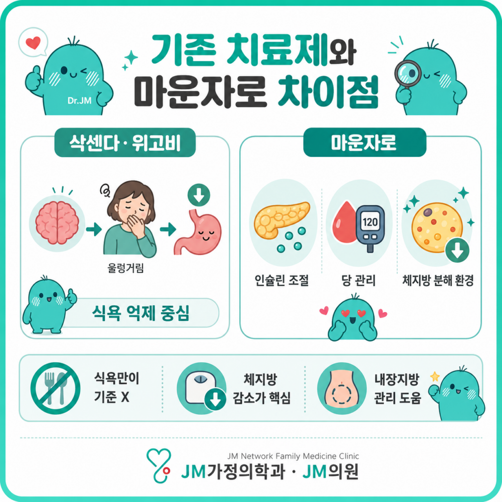 마운자로차이점
