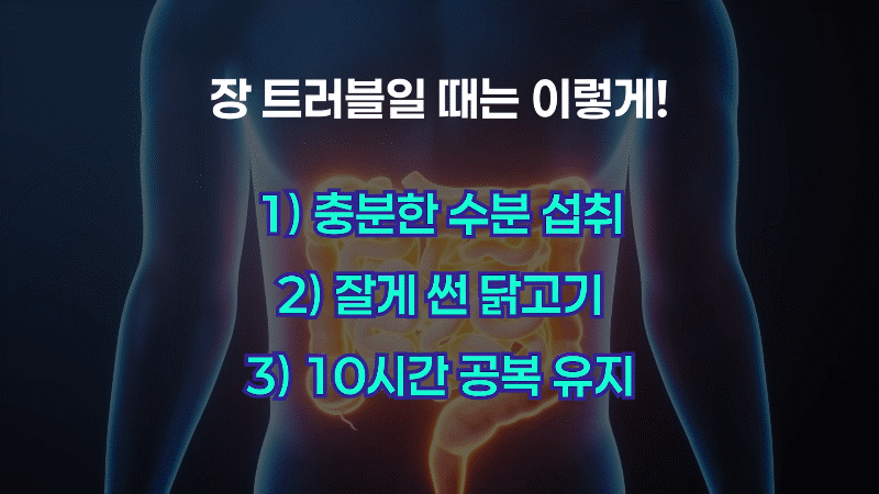 집에서 할 수 있는 마운자로 장트러블 완화 방법은 무엇인가요?