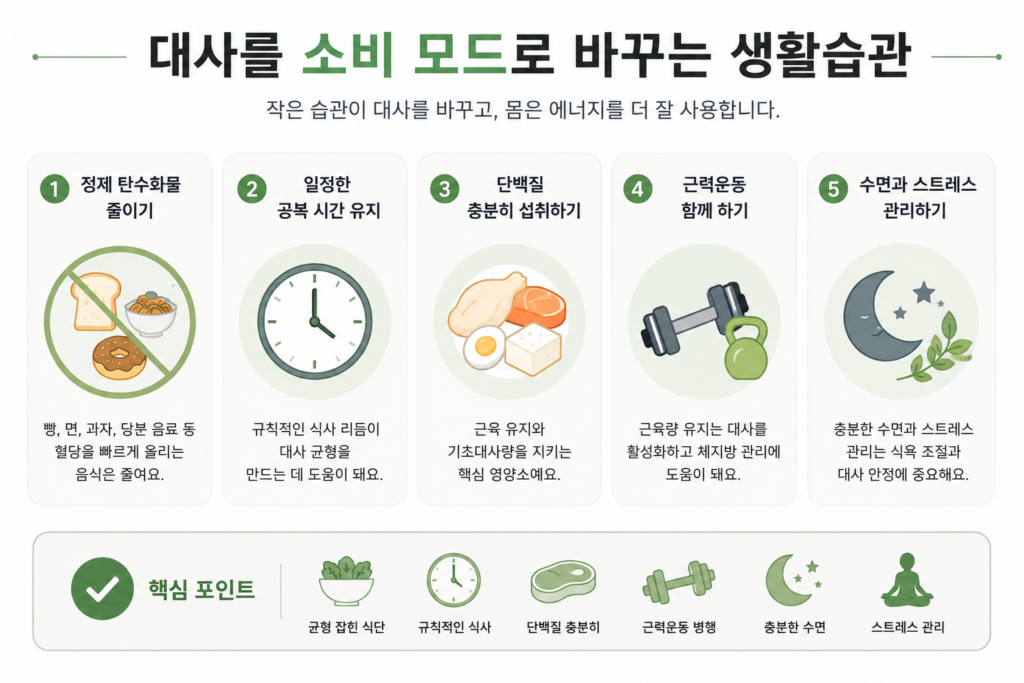 대사를 소비 모드로 바꾸는 생활습관