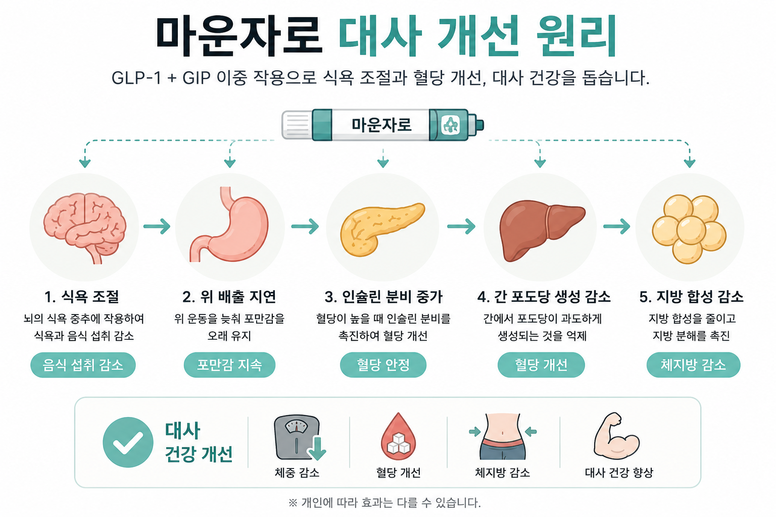 합정 다이어트 대사를 소비 모드로 바꾸는 5가지 생활습관과 마운자로의 역할