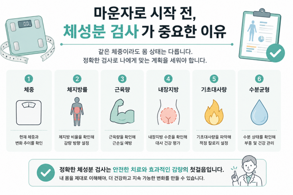 마운자로 시작 전 체성분 검사 중요성