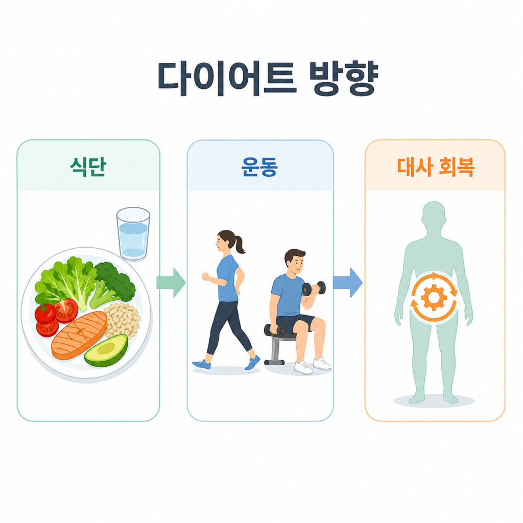 분당 다이어트 식단 운동 방향 대사 회복