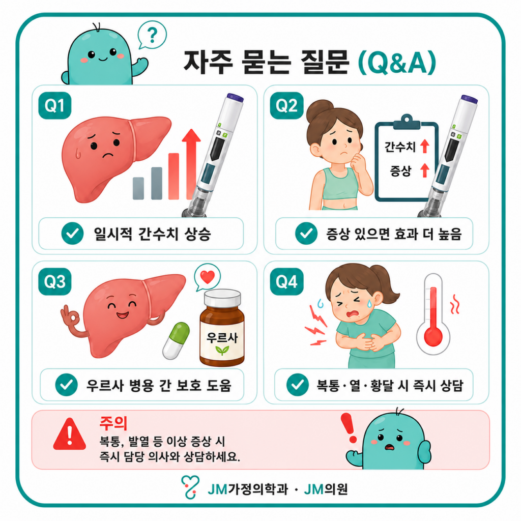 마운자로와간건강질문