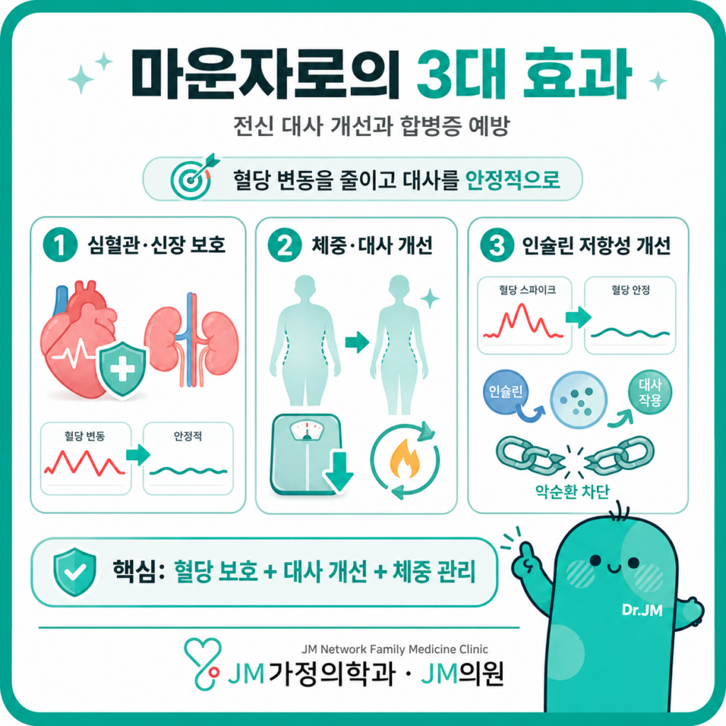 마운자로효과
