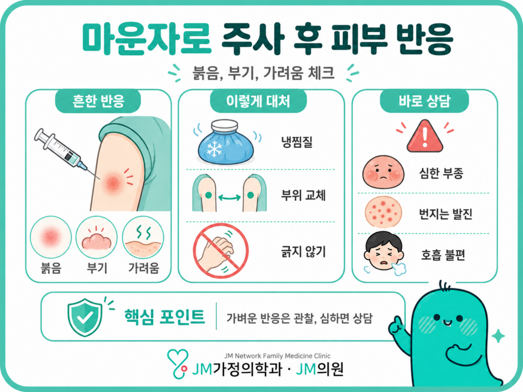 마운자로주사부워발진
