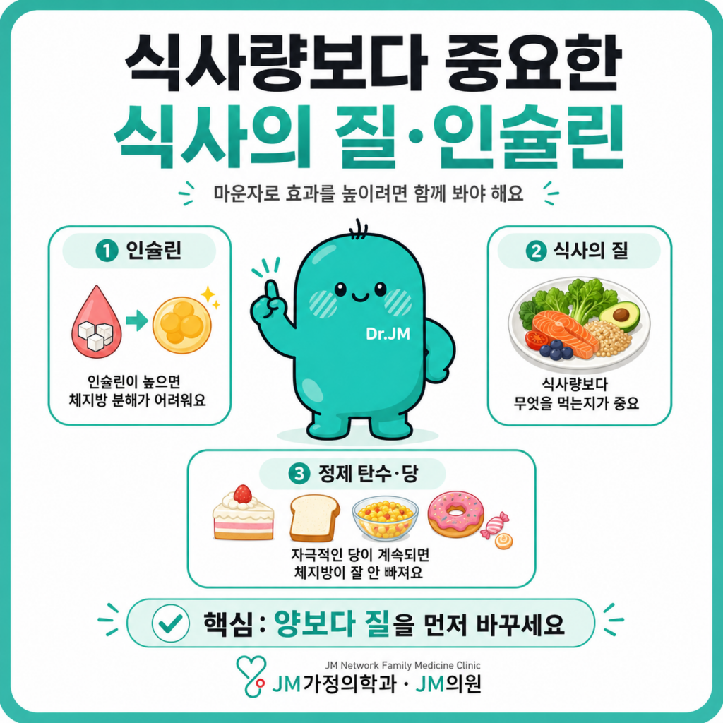 마운자로식사량보다식사의질
