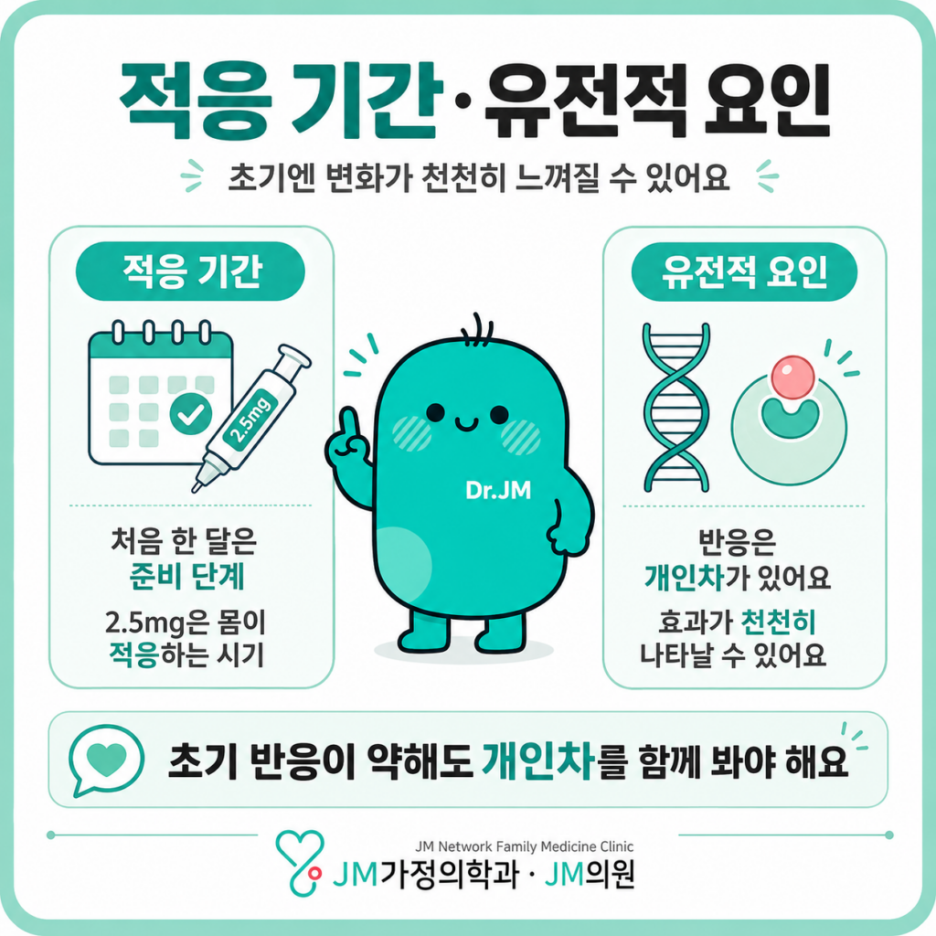 마운자로적응기간