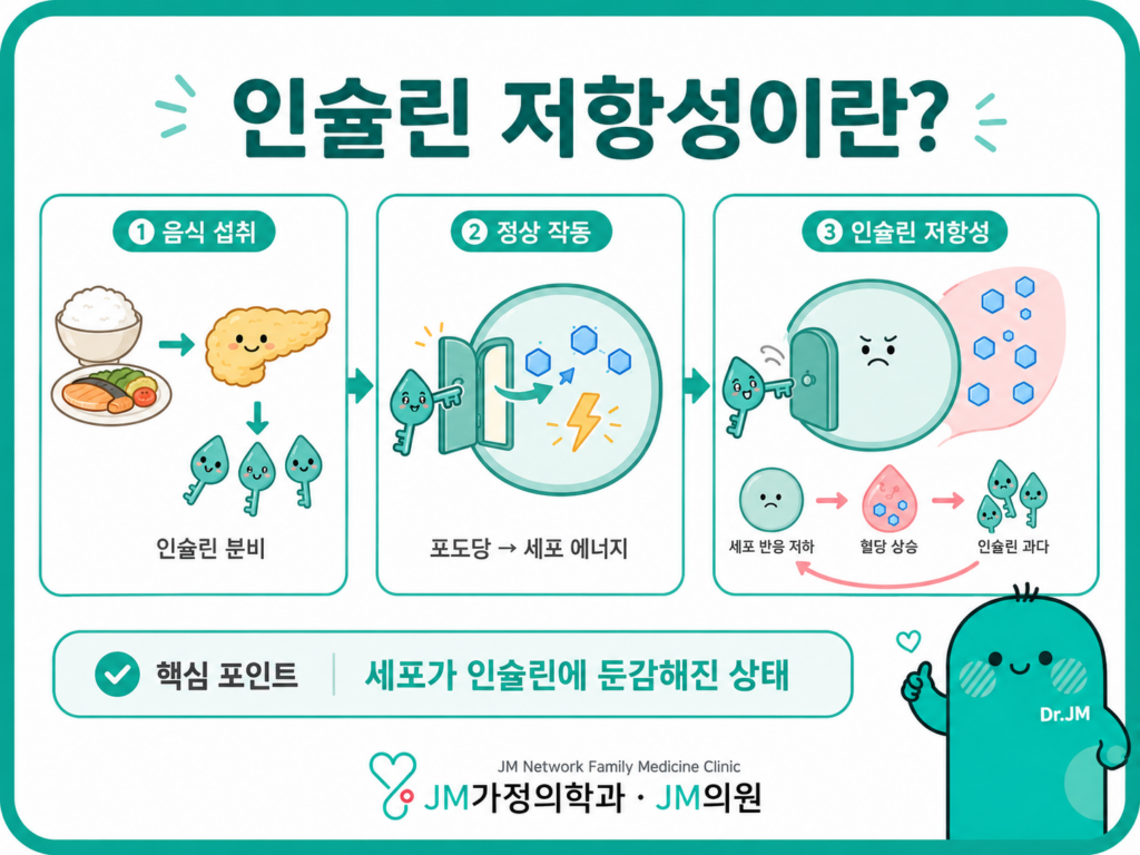 당뇨 전단계 인슐린저항성이란
