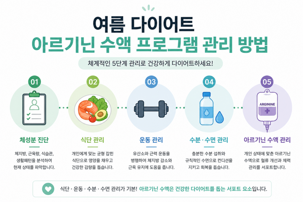 여름 다이어트 아르기닌 수액 프로그램 관리 방법