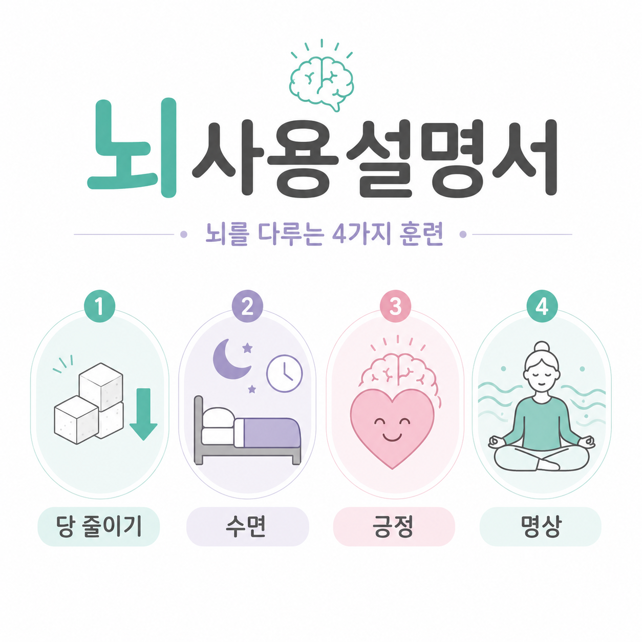 뇌사용설명서