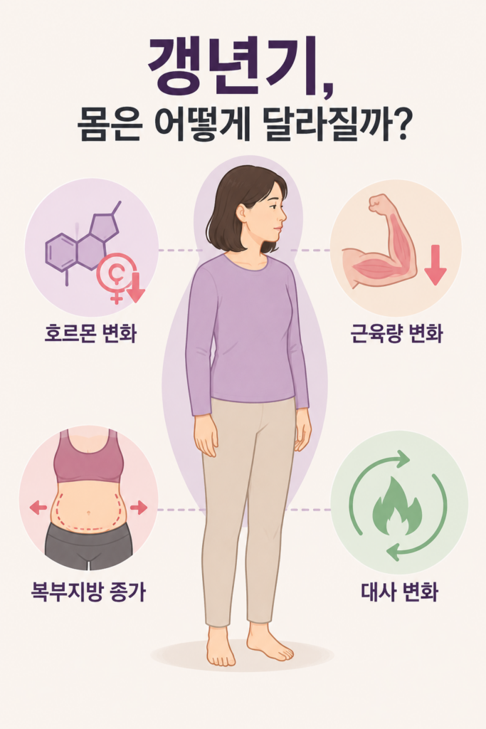 갱년기 체중 증가와 복부지방 변화