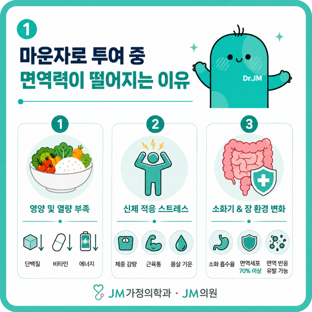 마운자로면역력