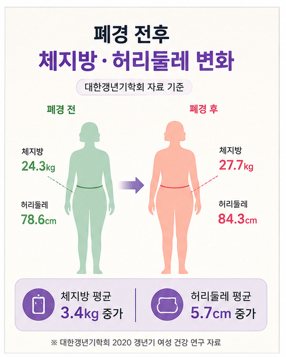 폐경이행기 체중관리 골든타임