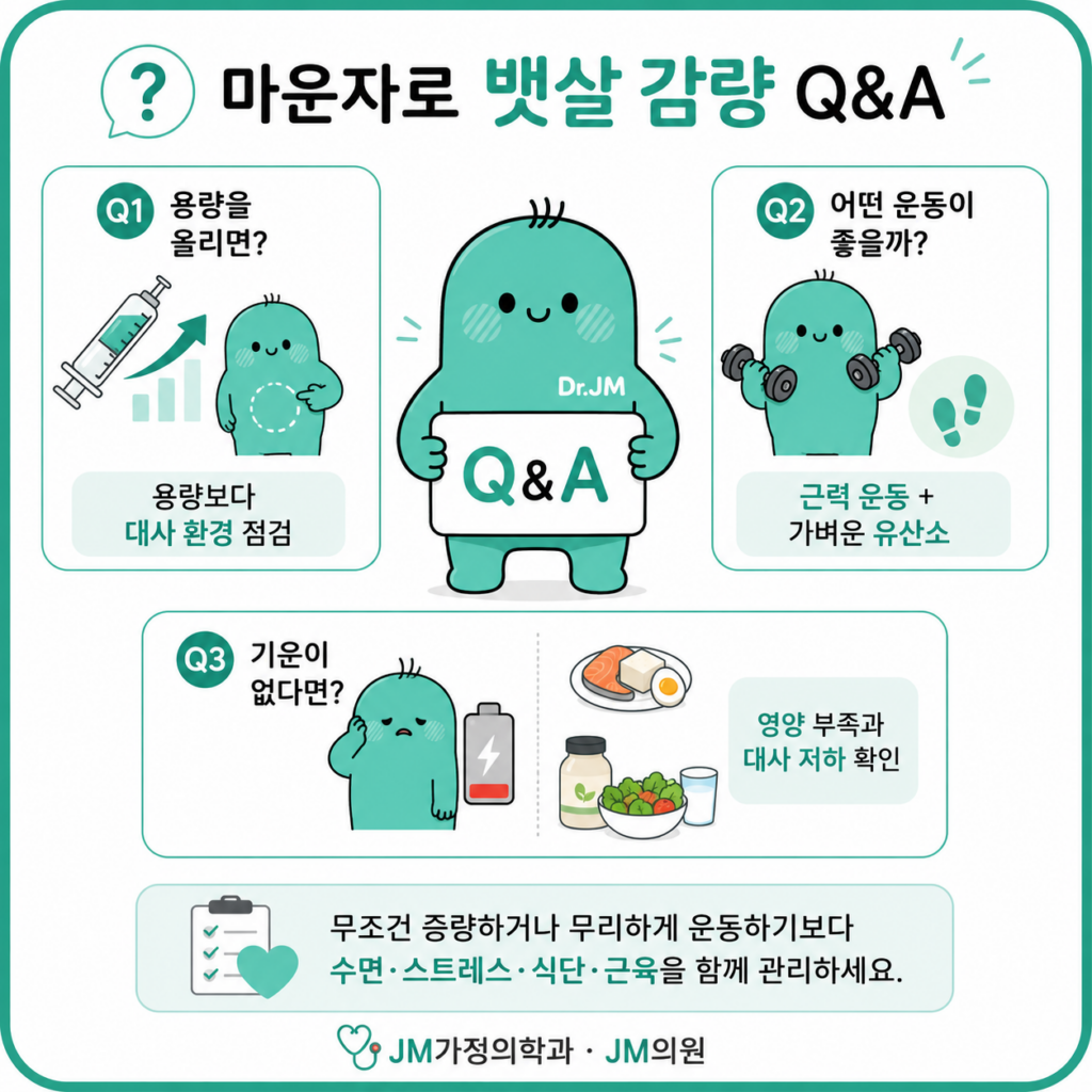 마운자로뱃살감량
