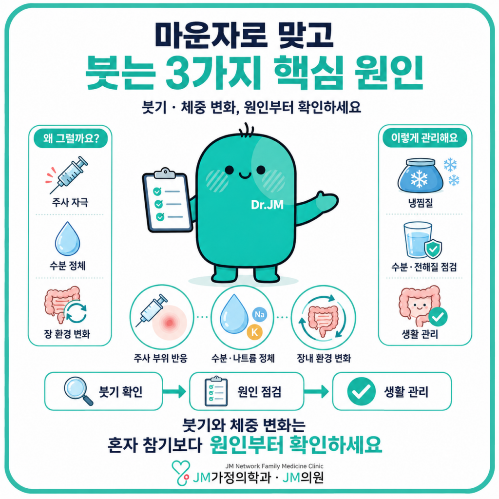 마운자로붓는이유
