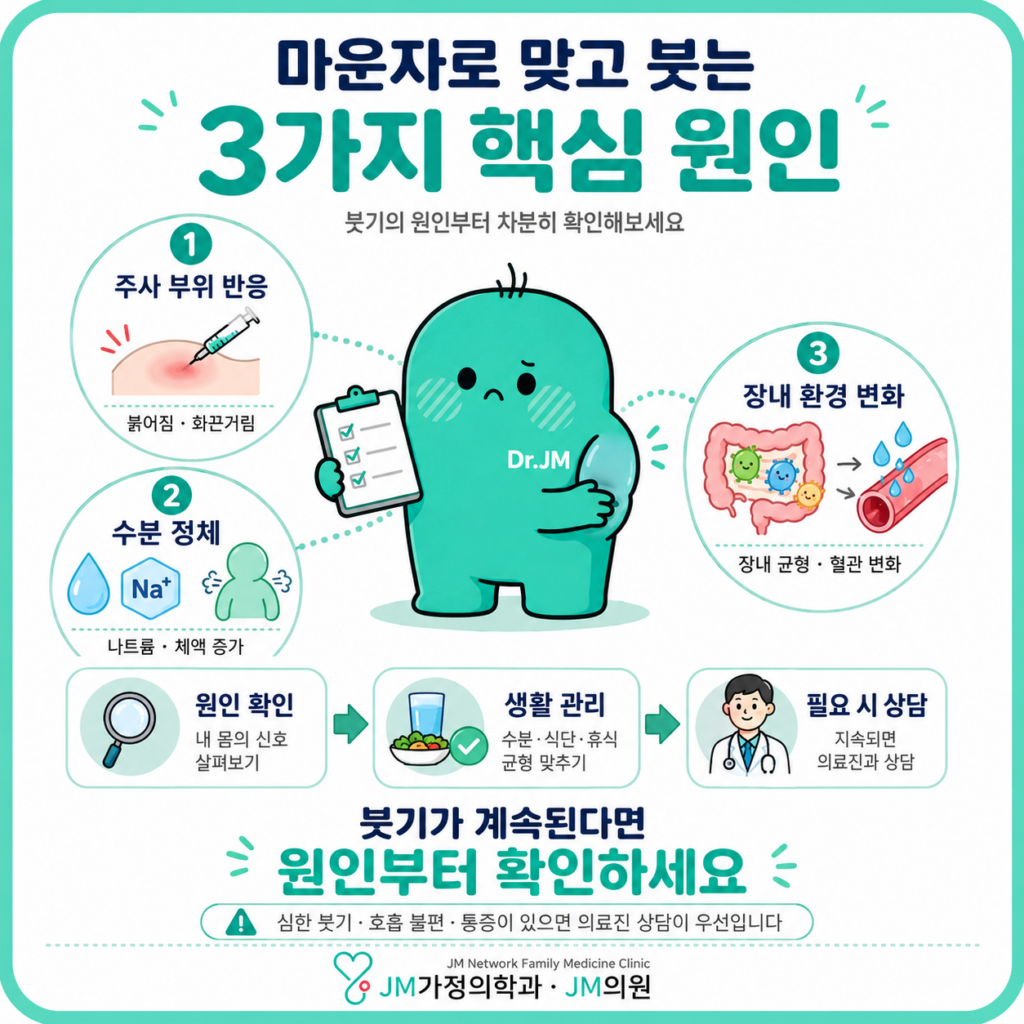 마운자로 부종
