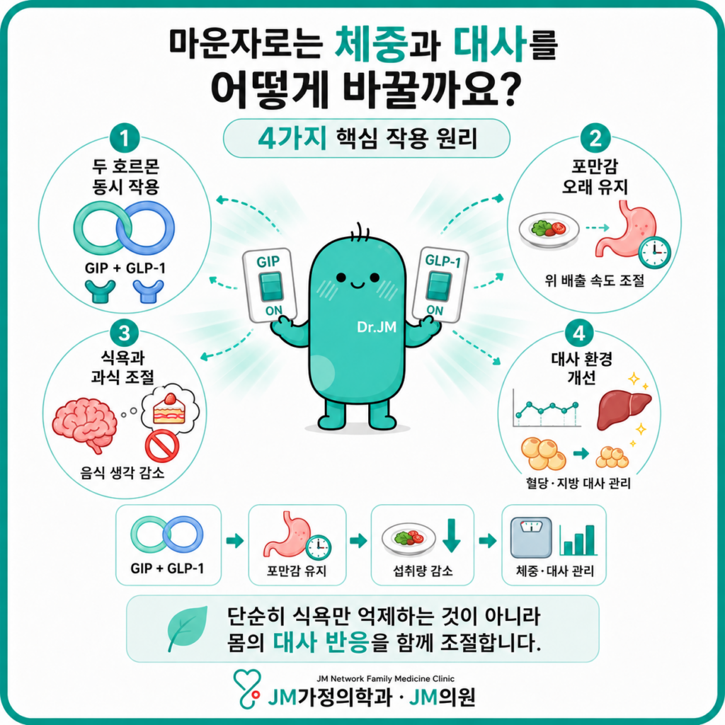 마운자로 대사 치료
