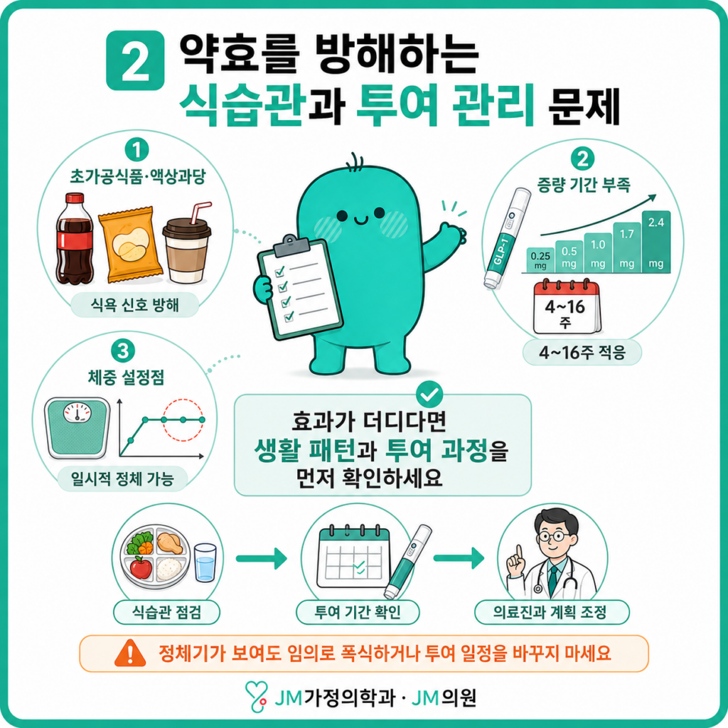 마운자로 식습관
