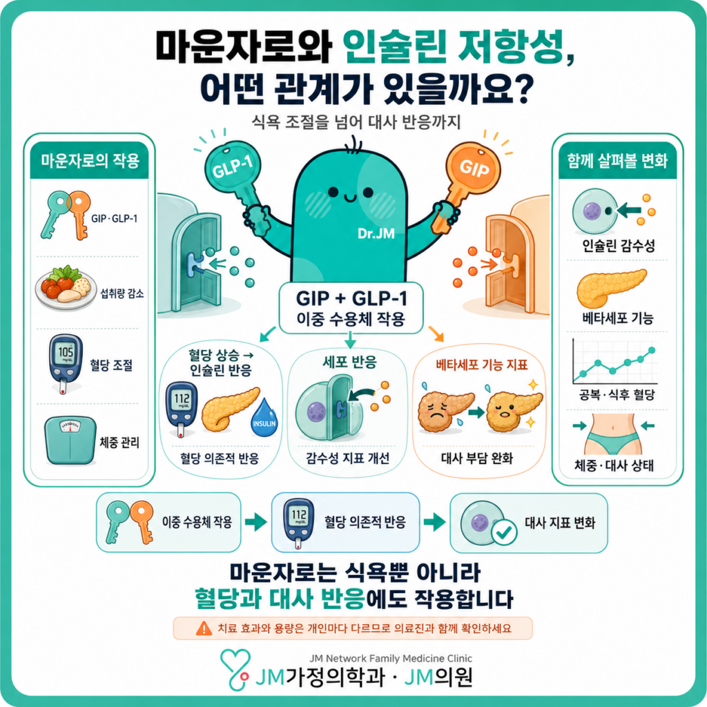 마운자로 대사 치료
