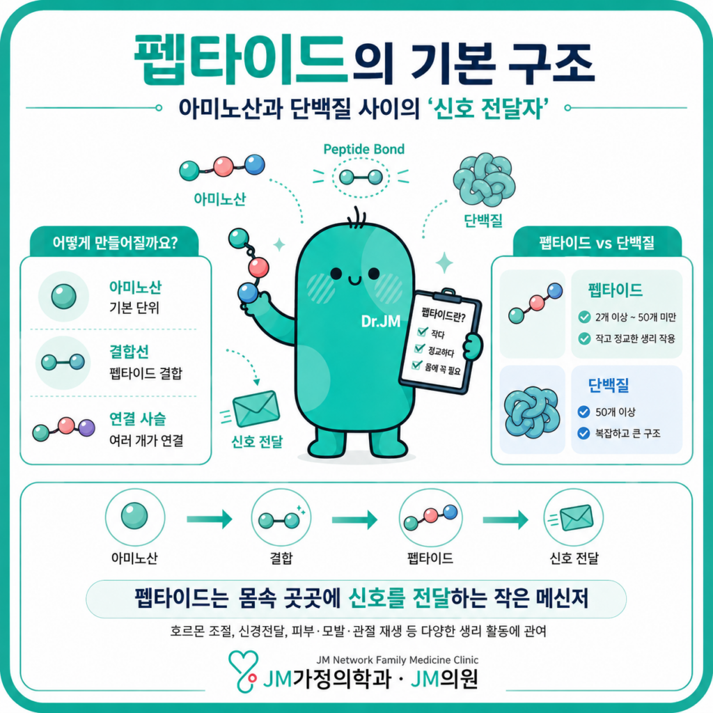 펩타이드 구조