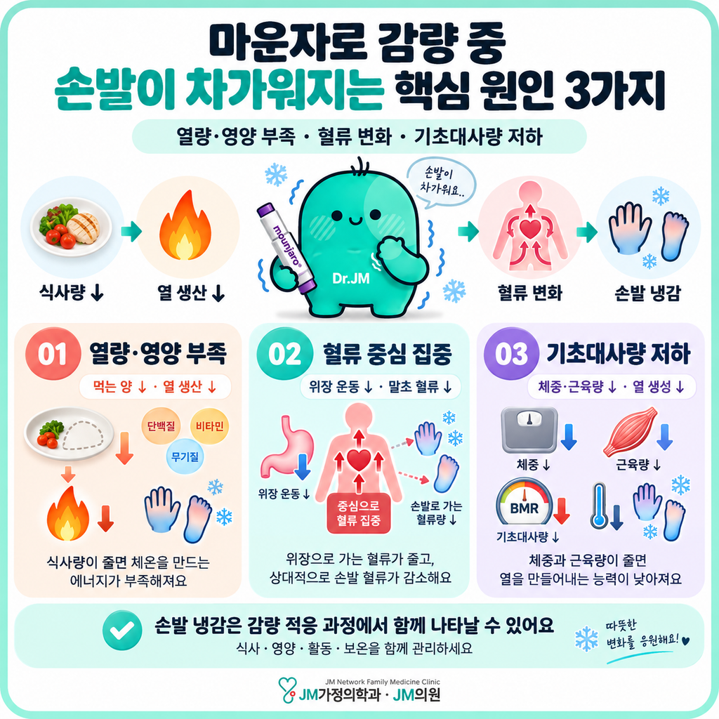 마운자로혈액순환